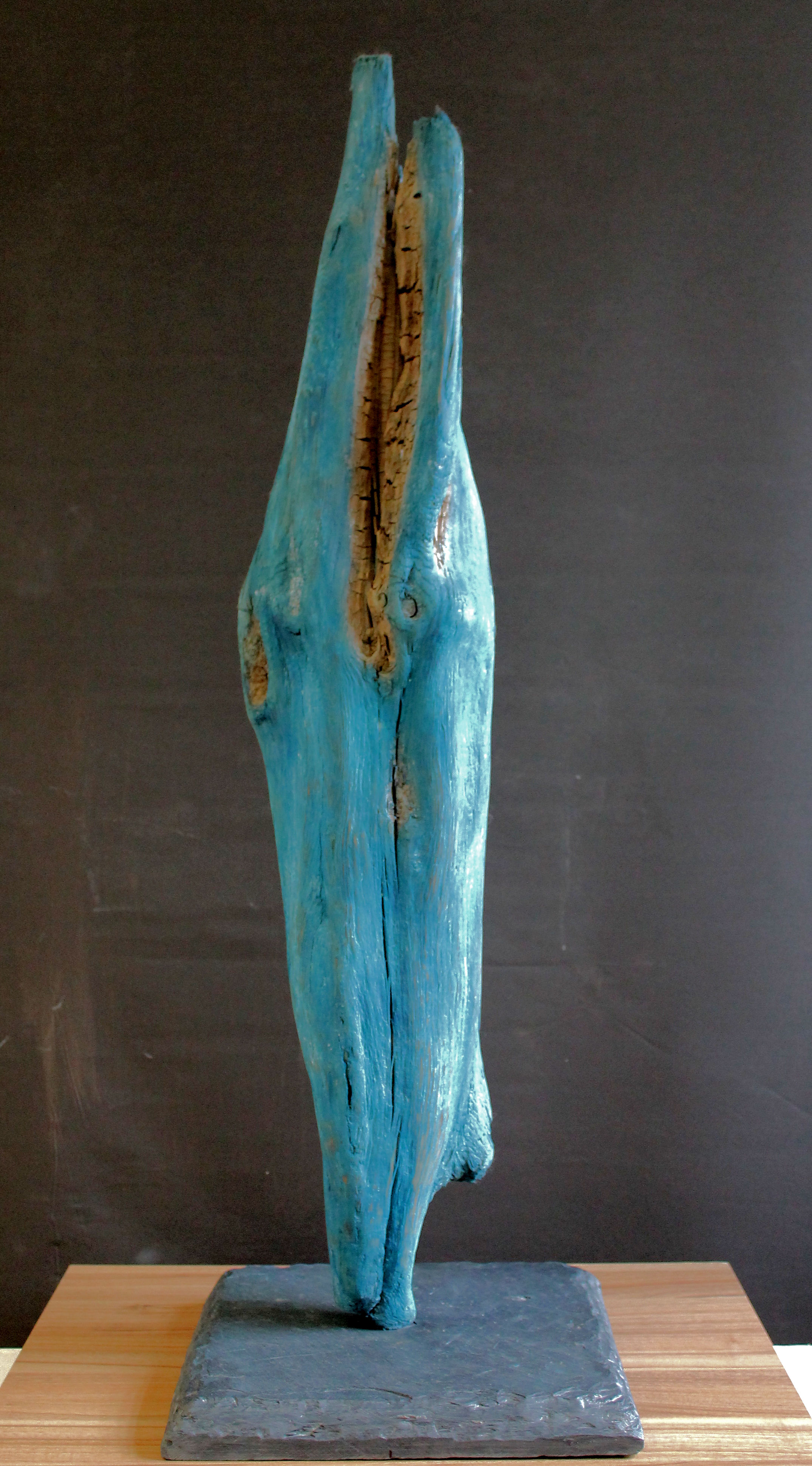 I.M.o.H. XVII (Blauwal)